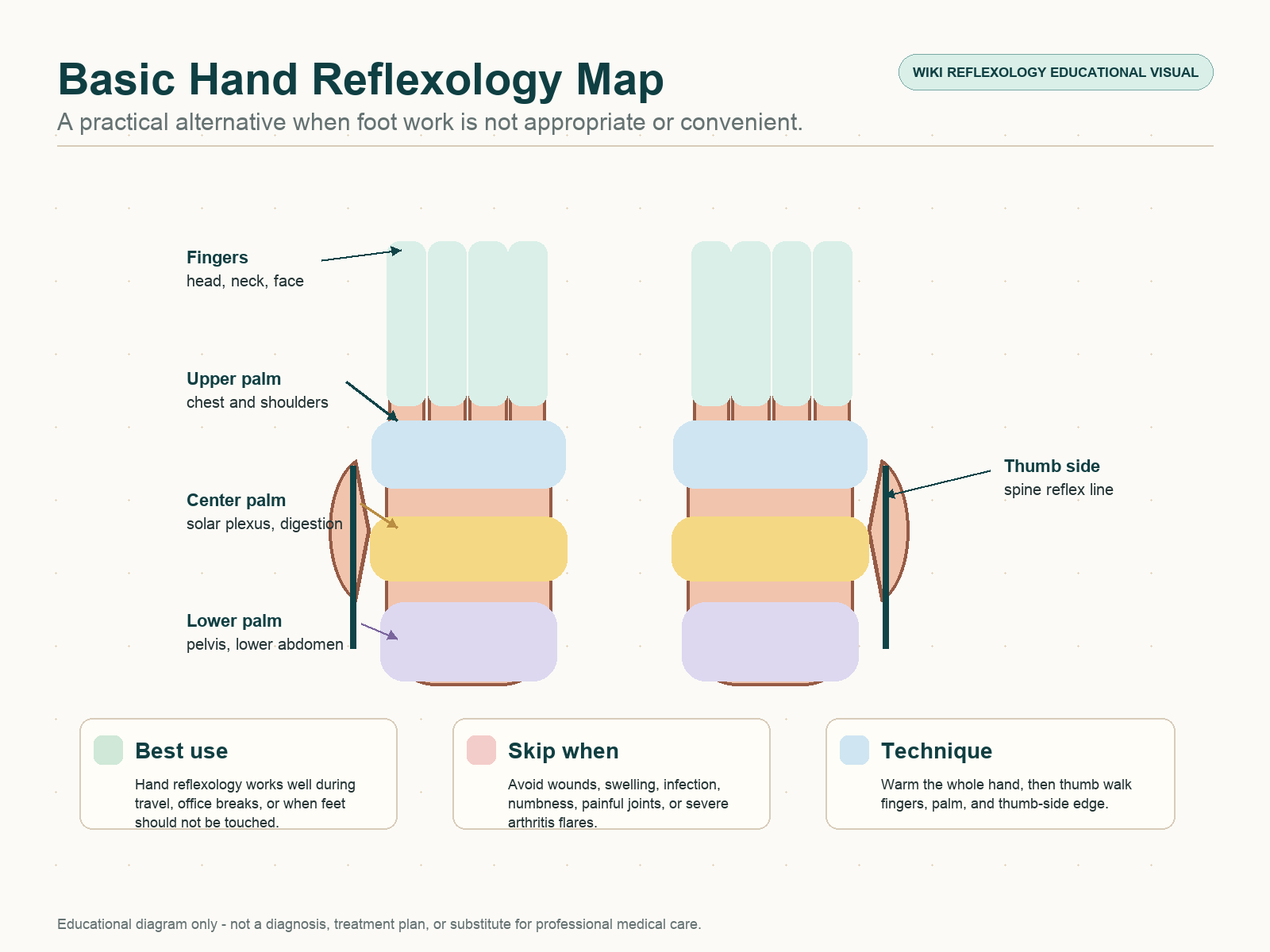 Basic hand reflexology map showing fingers for head and neck, upper palm for chest and shoulders, center palm for solar plexus and digestion, lower palm for pelvic zones, and thumb side spine line.
