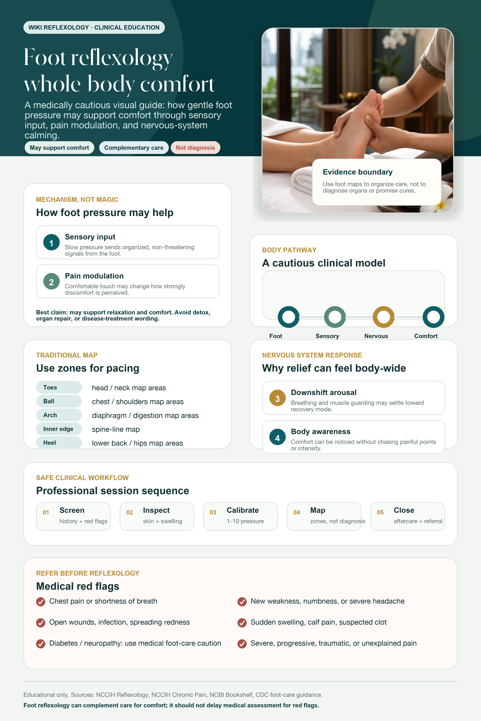 Premium educational reflexology infographic for How Foot Reflexology May Calm Whole-Body Pain Through the Feet.