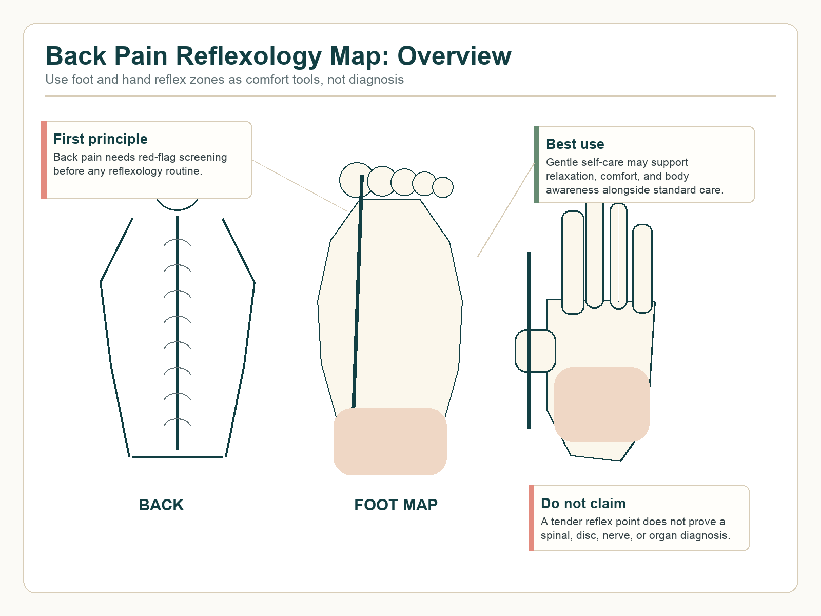 Back pain reflexology overview showing a stylized back, foot reflexology map, hand reflexology option, and non-diagnostic safety notes.