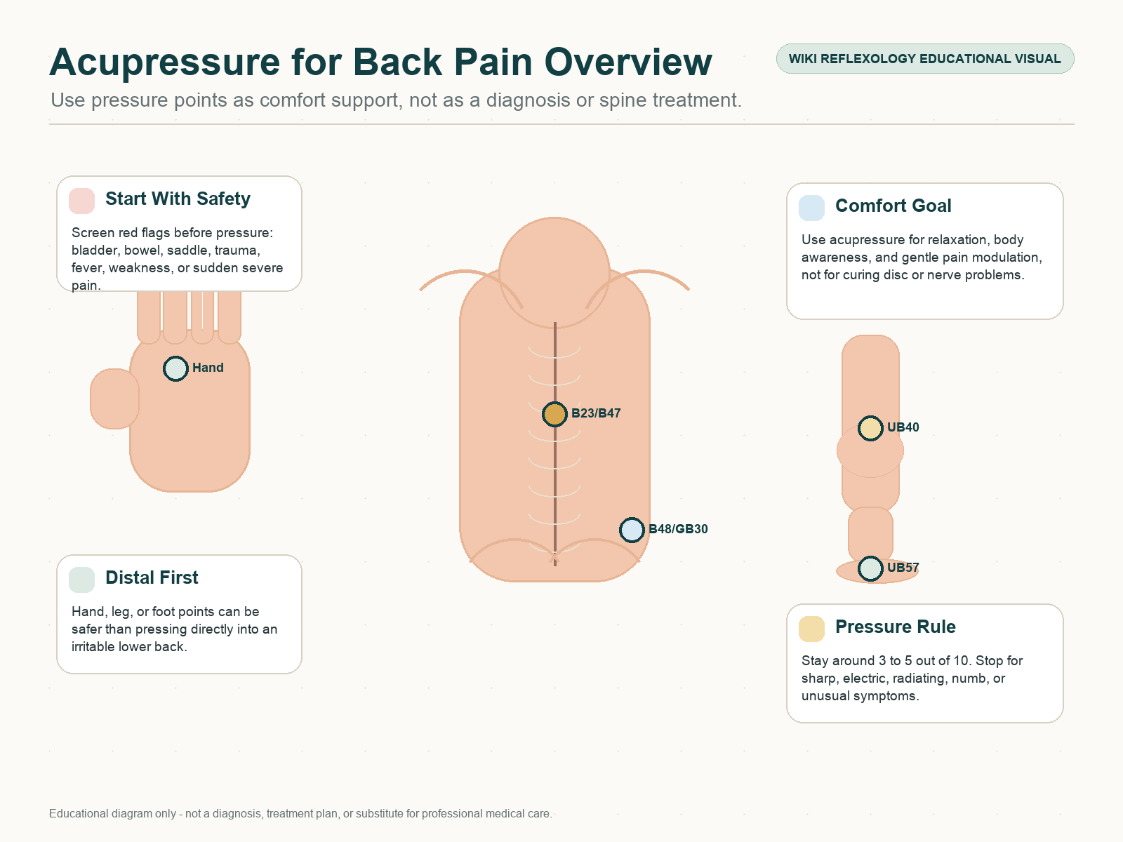Acupressure for back pain overview showing hand, lower back, hip, leg, and foot pressure point families with safety and medical boundary notes.