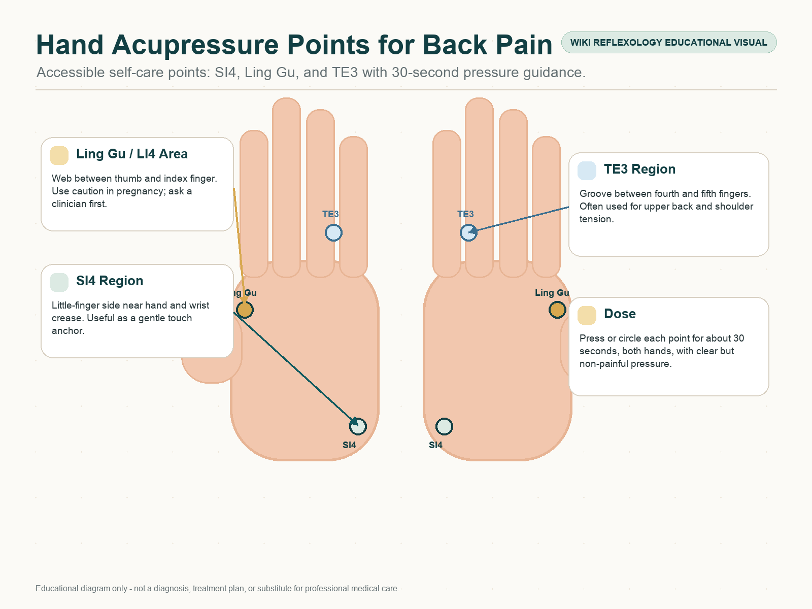 Hand acupressure points for back pain showing SI4, Ling Gu, and TE3 regions with 30-second pressure guidance and pregnancy caution.