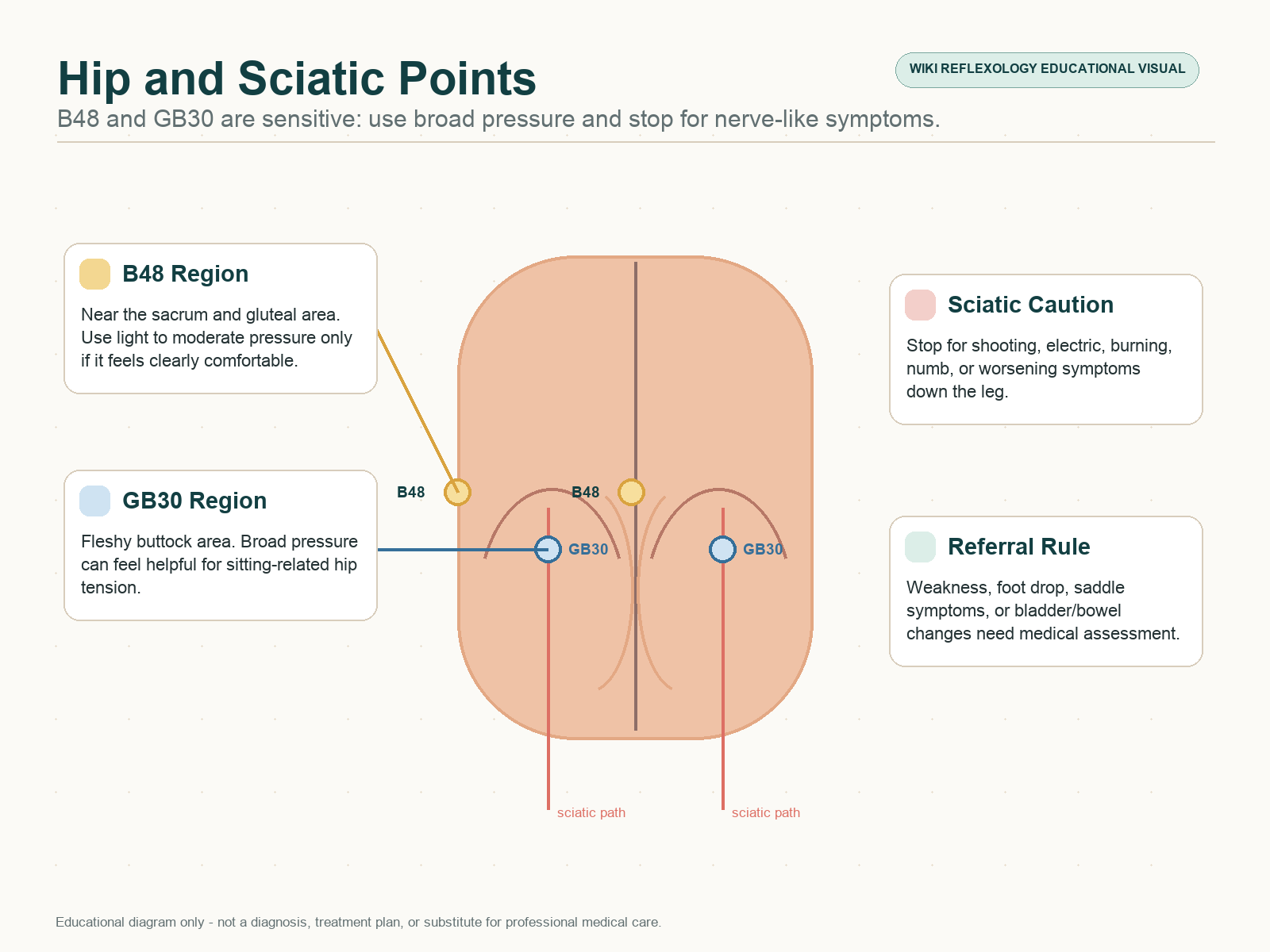 Hip and sciatic-area acupressure points for back pain showing B48 and GB30 zones with sciatic nerve caution and safe pressure guidance.