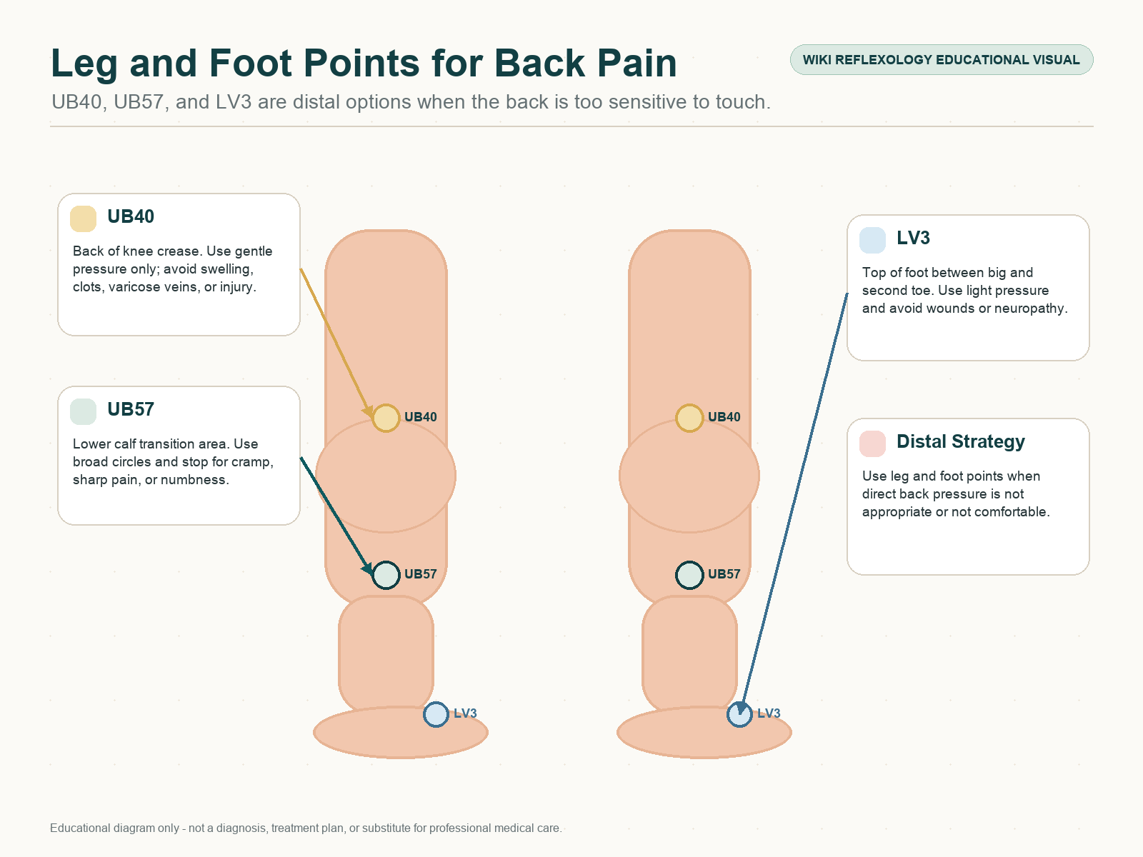 Leg and foot acupressure points for back pain showing UB40 behind the knee, UB57 on the calf, and LV3 on the top of the foot with clot, swelling, and neuropathy cautions.