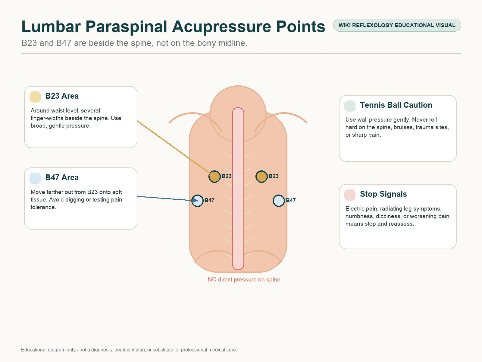 Lumbar paraspinal acupressure points for back pain showing B23 and B47 beside the spine with a no pressure on spine warning.