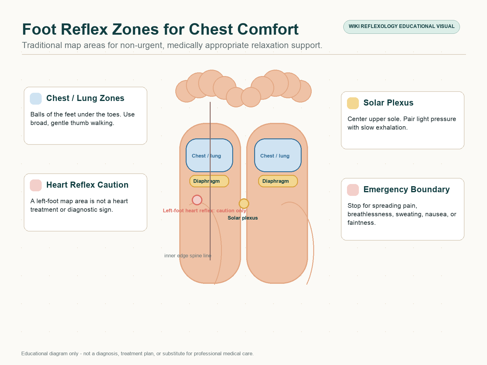Foot reflexology diagram for non-urgent chest comfort showing chest and lung zones on the balls of the feet, left-foot heart reflex, solar plexus, diaphragm line, spine line, and digestive zones.